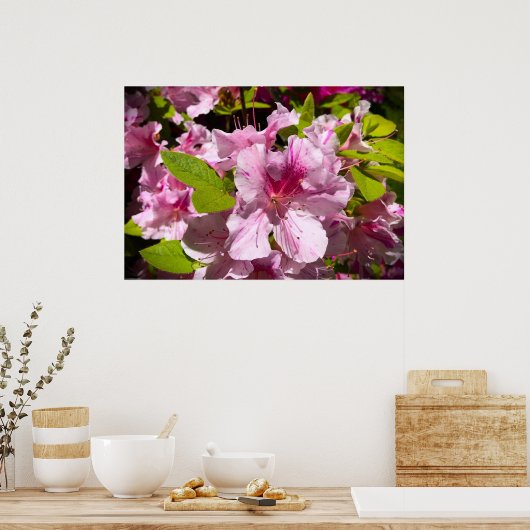 Azalea, Poster (Küche)