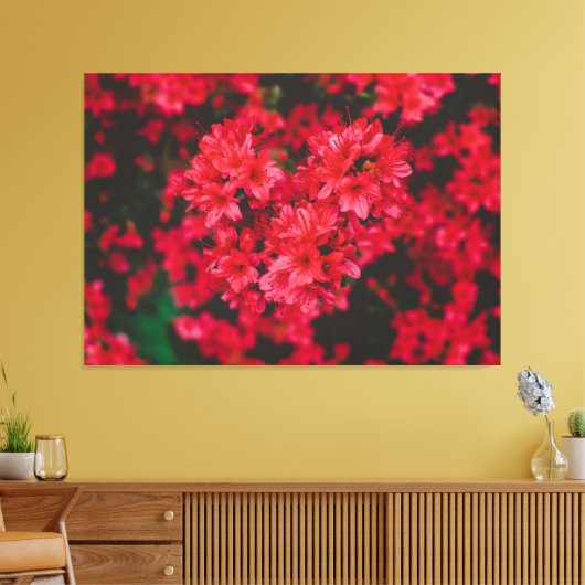 Azalea Stretched Canvas Print Leinwanddruck (Insitu (Wohnzimmer))