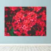 Azalea Stretched Canvas Print Leinwanddruck (Insitu (Holzboden))