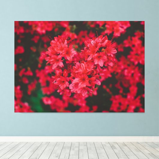Azalea Stretched Canvas Print Leinwanddruck (Insitu (Holzboden))