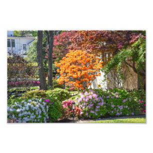 Azalea Trail Garden in Tyler, Texas Fotodruck