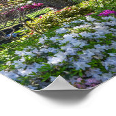 Azalea Trail Garden in Tyler, Texas Poster (Ecke)