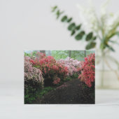 Azalea Walkway Postkarte (Stehend Vorderseite)