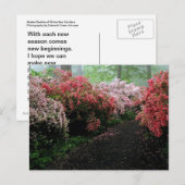 Azalea Walkway Postkarte (Vorne/Hinten)