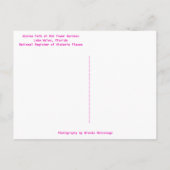 Azalea Weg Bok Tower Gardens Wilhelm Tell Postkarte (Rückseite)