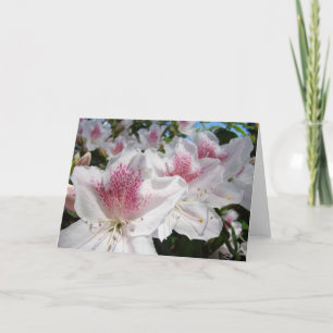 Azaleas Blumengarten Gartenkarten Text hinzufügen Karte