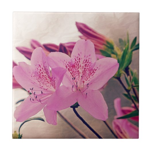 Azaleas Fliese (Vorderseite)