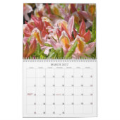 Azaleas Gardens Kalender Rosa (Mär 2027)