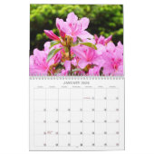 Azaleas Gardens Kalender Rosa (Jan 2026)