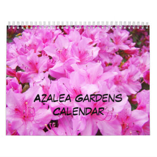 Azaleas Gärten Kalender Rosa Weiß Orange Azalee