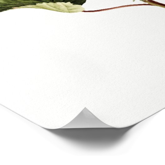 Azaleas Poster (Ecke)