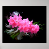 Azaleas Poster (Vorne)