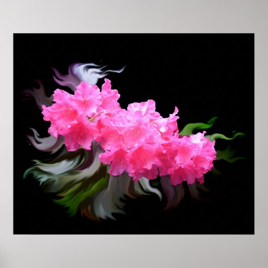 Azaleas Poster (Vorne)