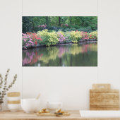 Azaleas Poster (Küche)