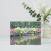 Azaleas Postkarte (Stehend Vorderseite)
