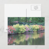 Azaleas Postkarte (Vorne/Hinten)