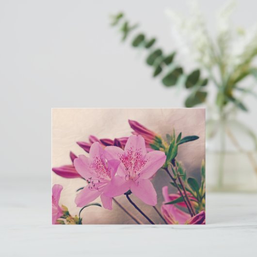 Azaleas Postkarte (Stehend Vorderseite)