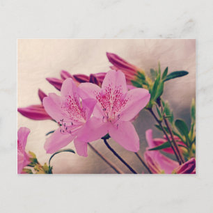 Azaleas Postkarte