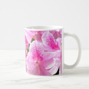 Azalee blüht Tasse