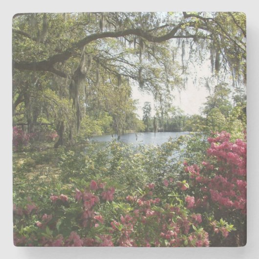 Azaleen, Airlie Gärten Steinuntersetzer (Vorderseite)