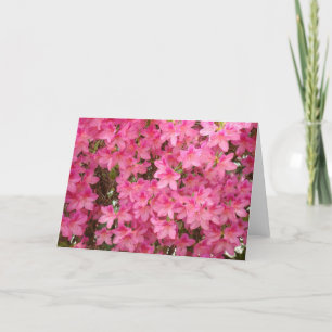 AZALEEN Azaleen-Blumen GRUßKARTEN KARTE NOTIZ