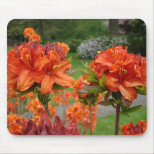AZALEEN Azaleen Blumen MAUS PADS MAUSPAD