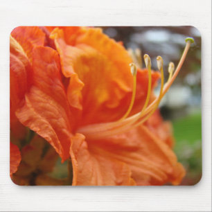 AZALEEN Azaleen Blumen MAUS PADS MAUSPAD
