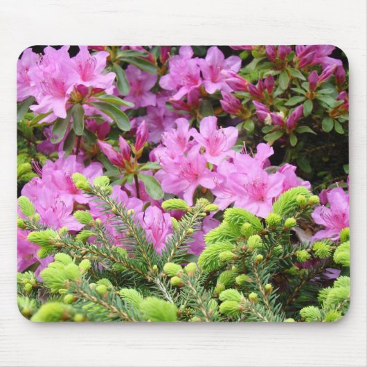AZALEEN Blumen MAUSUNTERLAGEN Kiefern-Baum Mousepad (Vorne)