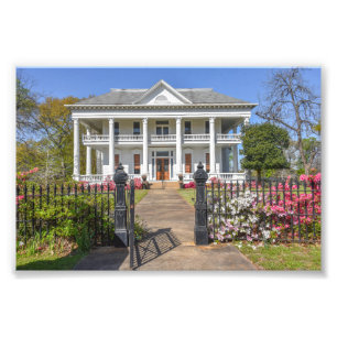 Azaleen Chilton-Lipstate-Taylor-Haus Tyler Texas Fotodruck