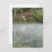 Azaleen, die zu Beginn in einem Teich nachsehen Postkarte (Vorne/Hinten)