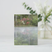 Azaleen, die zu Beginn in einem Teich nachsehen Postkarte (Stehend Vorderseite)