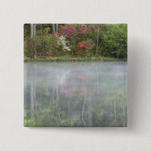 Azaleen, die zu Beginn in einem Teich schweben Button