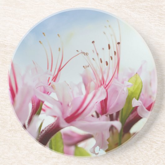 Azaleen Getränkeuntersetzer (Vorne)