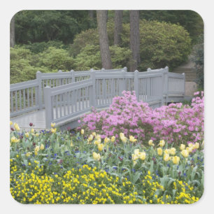 Azaleen-Heide-Familie (Ericaceae), Tulpe und Quadratischer Aufkleber