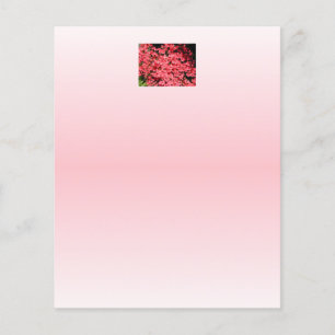 Azaleen. Hübsche rosa Blume.