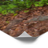 Azaleen im Frühling auf der historischen Insel der Poster (Ecke)