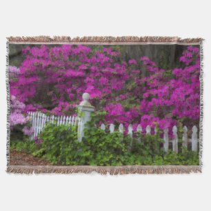 Azaleen im Frühling auf der historischen Isle of H Decke