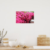 Azaleen im vollen Blut Poster (Küche)