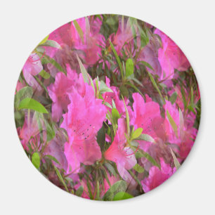 Azaleen in Pink.... Magnet