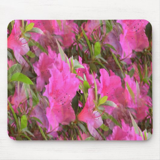 Azaleen in Pink.... Mousepad (Vorne)