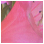 Azaleen in Pink.... Stoff (Nahaufnahme)
