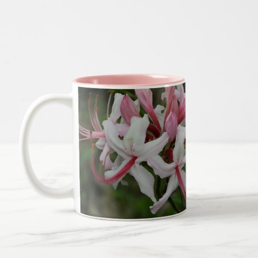 Azaleen-Kaffee-Tasse Zweifarbige Tasse (Links)