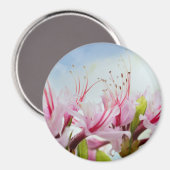 Azaleen Magnet (Vorderseite/Rückseite)