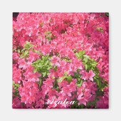 Azaleen Magnet (Vorne)