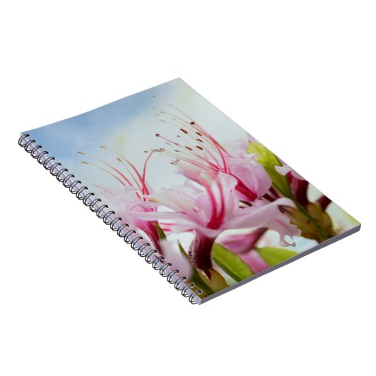 Azaleen Notizblock (Rechte Seite)