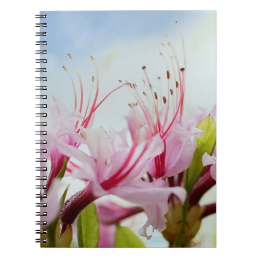 Azaleen Notizblock (Vorderseite)