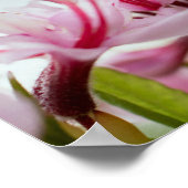 Azaleen Poster (Ecke)