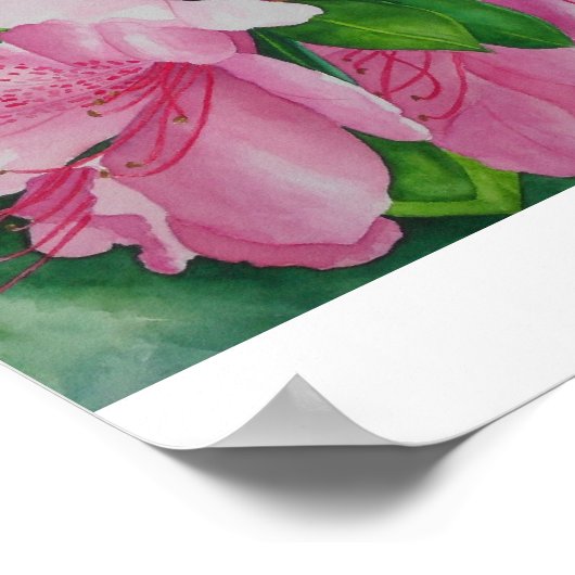 Azaleen Poster (Ecke)