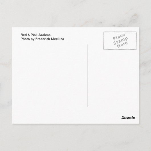 Azaleen Postkarte (Rückseite)