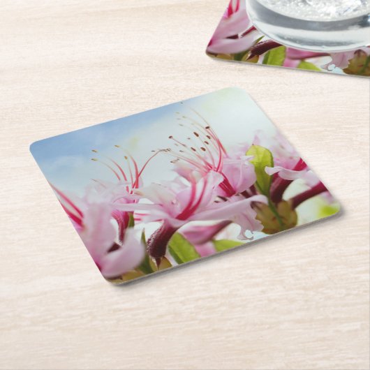 Azaleen Rechteckiger Pappuntersetzer (angewinkelt)